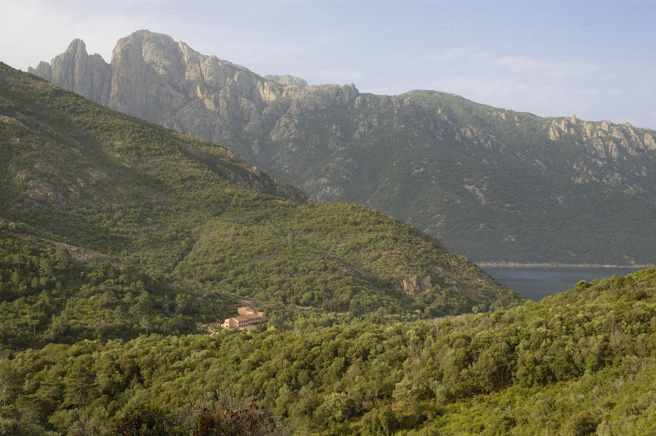 Hotel Stella Marina Serriera  Dış mekan fotoğraf